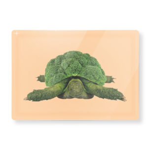 TAGLIERE IN VETRO DECORO CAVOLFIORE