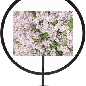 INFINITY PORTAFOTO NERO 10X15