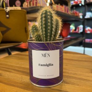CACTUS MËN "FAMIGLIA"