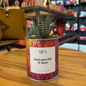 CACTUS MËN "SARA' PERCHE' TI AMO"