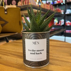CACTUS MËN "TO THE MOON AND BACK"