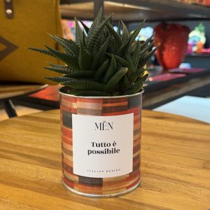 CACTUS MËN "TUTTO E' POSSIBILE"