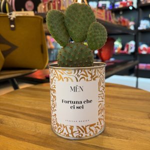 CACTUS MËN "FORTUNA CHE CI SEI"