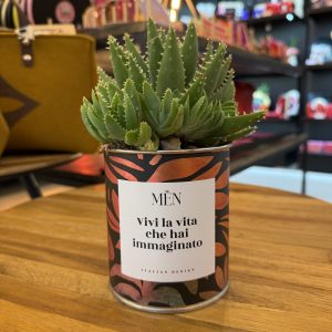 CACTUS MËN "VIVI LA VITA CHE HAI IMMAGINATO"