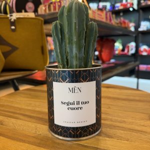 CACTUS MËN "SEGUI IL TUO CUORE"