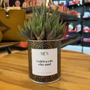 CACTUS MËN "COLTIVA CIO' CHE AMI"