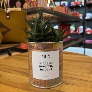 CACTUS MËN "VIAGGIA, OSSERVA, IMPARA"