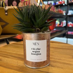 CACTUS MËN "CIO' CHE SEGNA INSEGNA"