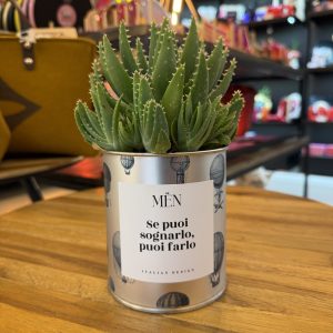 CACTUS MËN "SE PUOI SOGNARLO, PUOI FARLO"