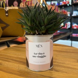 CACTUS MËN "LA VITA E' UN VIAGGIO"