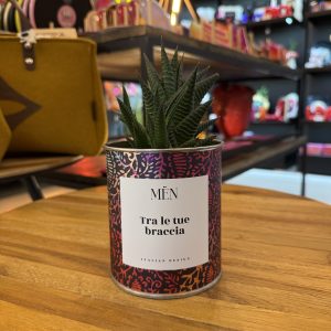 CACTUS MËN "TRA LE TUE BRACCIA"