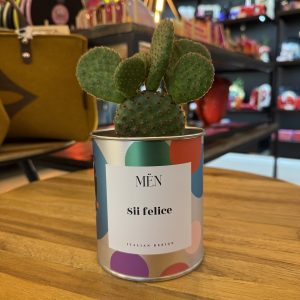 CACTUS MËN "SII FELICE"