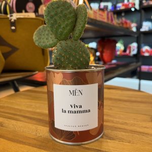CACTUS MËN "VIVA LA MAMMA"