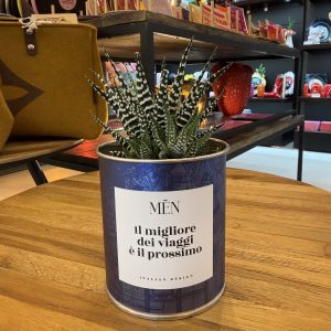 CACTUS MËN "IL MIGLIORE DEI VIAGGI E' IL PROSSIMO"