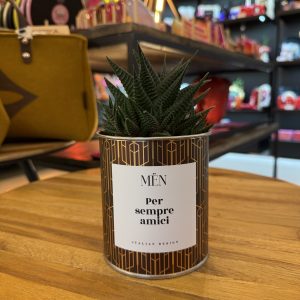 CACTUS MËN "PER SEMPRE AMICI"