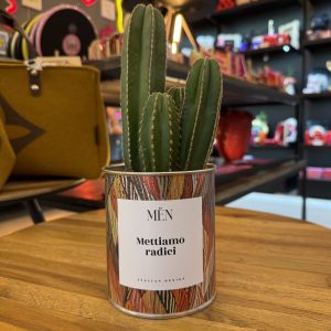 CACTUS MËN "METTIAMO RADICI"