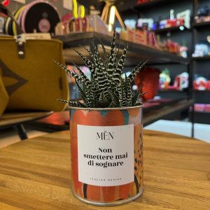 CACTUS MËN "NON SMETTERE MAI DI SOGNARE"
