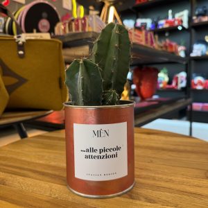 CACTUS MËN "ALLE PICCOLE ATTENZIONI"
