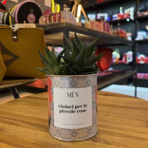 CACTUS MËN "GIOISCI PER LE PICCOLE COSE"