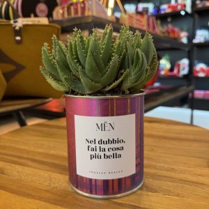 CACTUS MËN "NEL DUBBIO FAI LA COSA PIU' BELLA"
