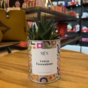 CACTUS MËN "CERCA L'ECCEZIONE"