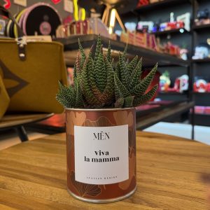 CACTUS MËN "VIVA LA MAMMA" (Copia)