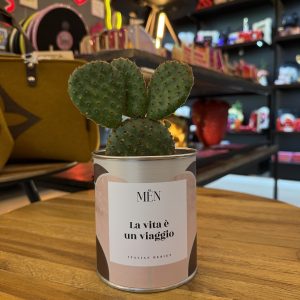CACTUS MËN "LA VITA E' UN VIAGGIO"