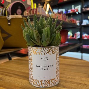 CACTUS MËN "FORTUNA CHE CI SEI"