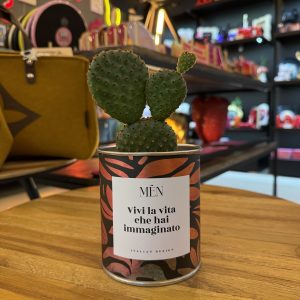 CACTUS MËN "VIVI LA VITA CHE HAI IMMAGINATO"