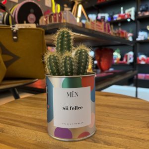 CACTUS MËN "SII FELICE"