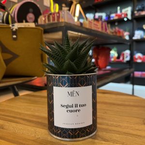 CACTUS MËN "SEGUI IL TUO CUORE"