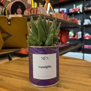 CACTUS MËN "FAMIGLIA"