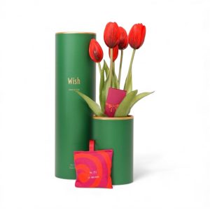 MAZZO DI TULIPANI - WINTER EDITION