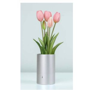 MAZZO DI TULIPANI - PINK