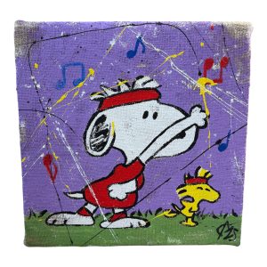 QUADRO SNOOPY AEROBICA